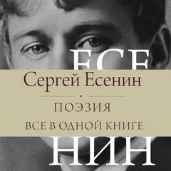 Поэзия. Все в одной книге — Есенин Сергей