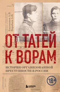 От татей к ворам. История организованной преступности в России — Воробьев Александр, Евдокимов Александр
