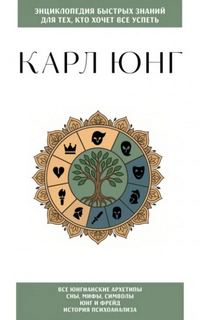 Карл Юнг. Для тех, кто хочет все успеть — Юнг Карл