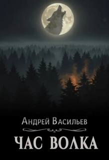 Ровнин. Книга 4. Час волка — Васильев Андрей