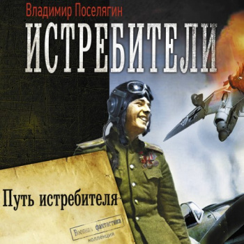 Путь истребителя — Поселягин Владимир