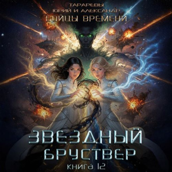 Бойцы времени. Книга 5 — Тарарев Юрий, Тарарев Александр