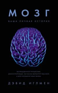 Мозг: Ваша личная история — Иглмен Дэвид